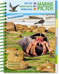LIVRE PICTOLIFE MAREE BASSE ATLANTIQUE EST Immergeable