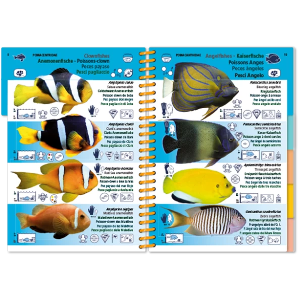 LIVRE PICTOLIFE OCEAN INDIEN ET MER ROUGE Immergeable 4 LIVRE PICTOLIFE OCEAN INDIEN ET MER ROUGE Immergeable – Image 2