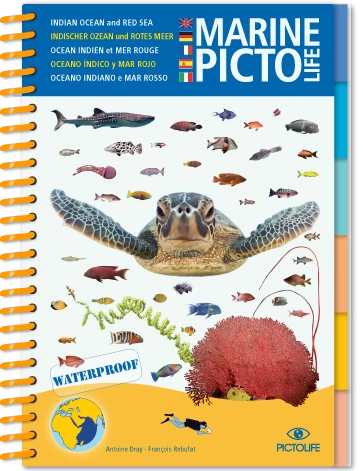 LIVRE PICTOLIFE OCEAN INDIEN ET MER ROUGE Immergeable 3 LIVRE PICTOLIFE OCEAN INDIEN ET MER ROUGE Immergeable